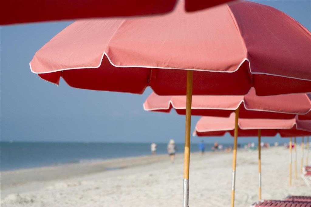 Song Of The Sea Hotell Sanibel Natur bilde